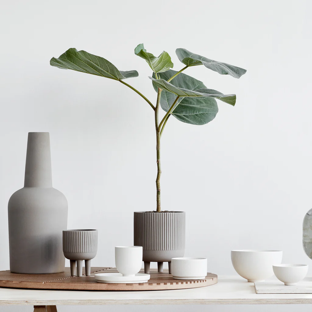 Kristina Dam Setomono Bowl Set - Image 3