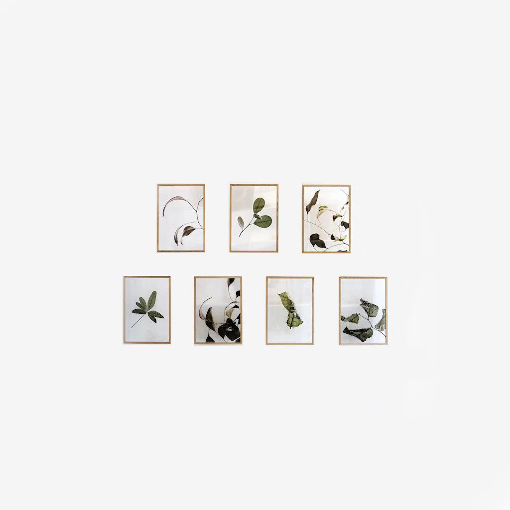 Moebe Floating Leaves Transparent Print 03 - Image 3